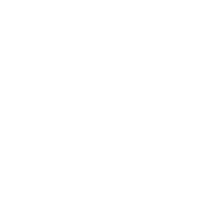 Logo Blanco Instituto insular de deportes